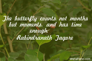 butterfly-The butterfly counts not months but moments, and has time ...