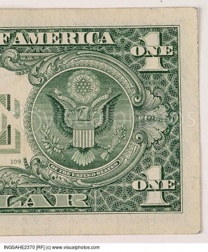 Dollar Bill Owl Makeup Side