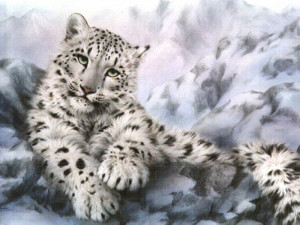 funny snow leopard