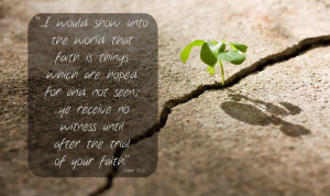 Trust in Jesus Christ His Light Will Illuminate Your Life