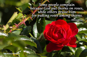Some people complain because God put thorns on roses, while others ...