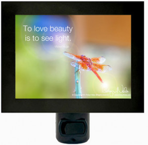 Light of the Dragonfly” Inspirational Quote Dragonfly Night Light