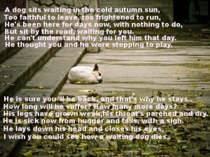 How a waiting dog dies