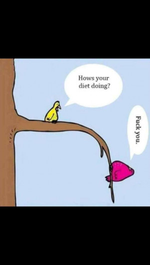 Diets & Dieting Funny Pictures (21 Pics)