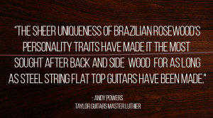 EXCLUSIVE Custom Taylor Brazilian Rosewood Guitars at Cosmo Music!
