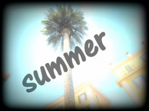cute, palm tree, summer, sunshine, tree