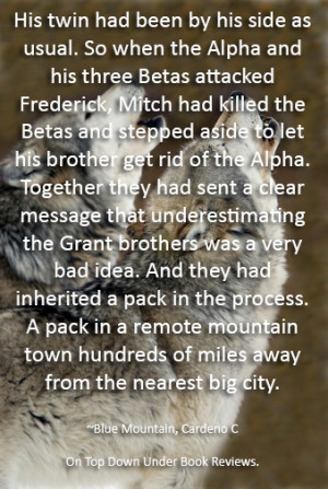 Blue Mountain Quote 1