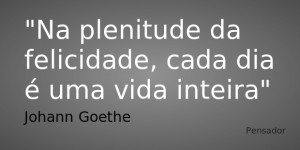 Johann Goethe Na plenitude da felicidade cada dia