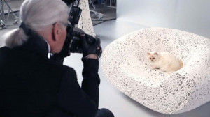 Choupette, The Private Life Of A High-Flying Fashion Cat