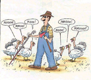 Blind Turkey Farmer ***