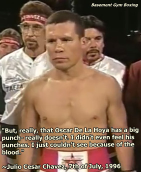 ... Hoya, Julio Cesar Chavez Senior rated Oscar's punching power this way