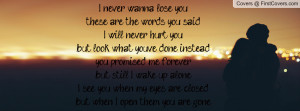 never wanna lose you,these are the words you said,I will never hurt ...