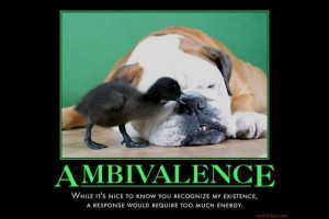 Ambivalence Picture Slideshow
