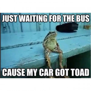 , motivation, humor, laughter, sarcasm, wit, fun, funny, quotes ...