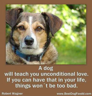 Tributes To The Dogs – Dog Sayings