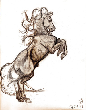 Pencil Drawings Horses...