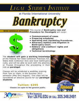 LSI 85x11 Bankruptcy FINAL