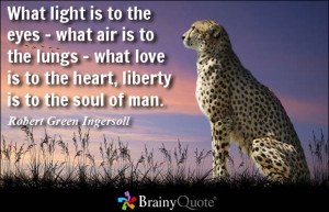 Freedom Quotes - BrainyQuote