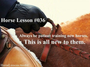 Horse lesson