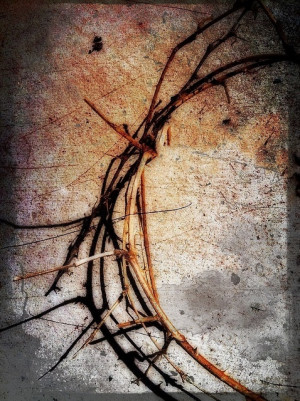 Crown of Thorns,