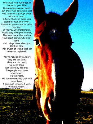 Thread: My horse my best friend best quotes
