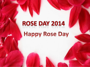 Happy Rose Day Images, Quotes, SMS in Hindi, Wallpaper Download