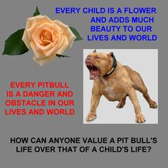 child's life is much more valuable than a #pit bull