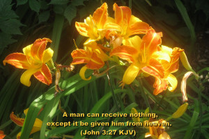 Bible Verses with Flowers