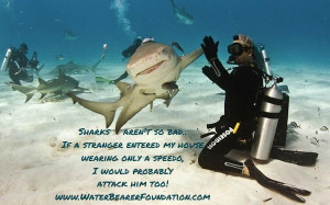 Sharks aren't so bad! Funny little shark humor! Diving quotes, shark ...
