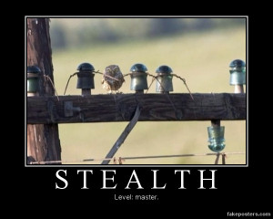 Stealth - Demotivational Poster