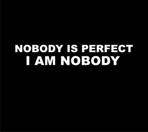 Home | Fun shirts | nobody is perfect, I am nobody