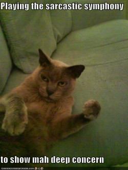Sarcastic Cat is Sarcastic.