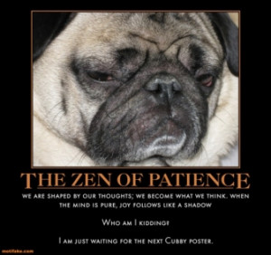 Related Pictures bunk the pug funny 300x179 grrrr mondays