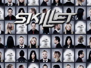 Skillet-skillet-34081763-1024-768.jpg