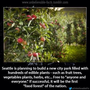 This is so Awesome! Way to go Seattle!