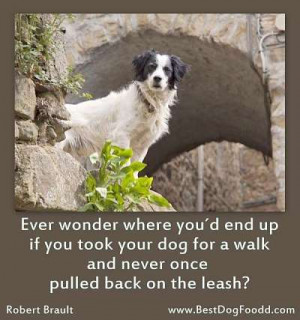 Great Dog Sayings