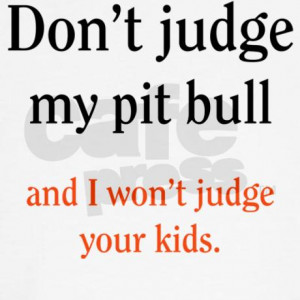 dont_judge_my_pit_bull_and_i_hooded_sweatshirt.jpg?color=White&height ...