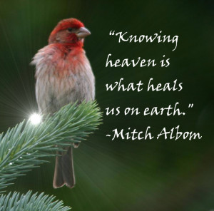 Knowing heaven is what heals us on earth.”