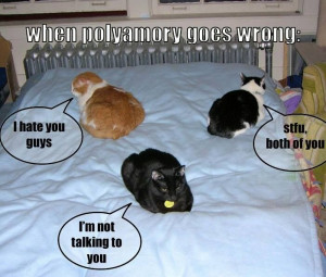 Ha! https://www.facebook.com/WCDTpolyamorous