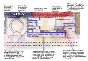 USA Visa Sample
