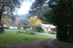 Bede Griffiths Retreat at Warburton Australia