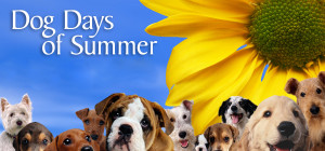 Too Hot Blog Dog Days Summer