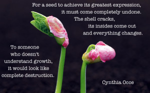 For A Seed To Achieve...