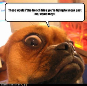 funny french fries quotes