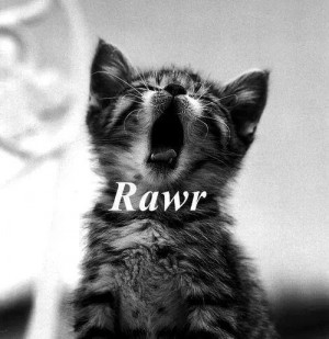 Cats Rawr