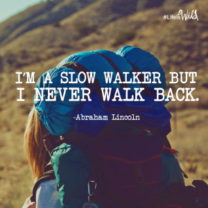 8great art around the globe 0 8great wild about the movie wild ...