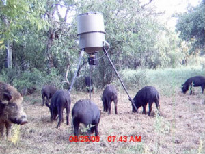 Ernest+hemingway+hunting+quotes