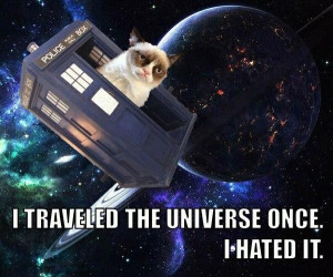 Doctor-Who-Grumpy-Cat-Meme.jpg
