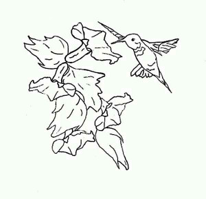 ... provide-nectar-for-hummingbird-to-eat-on-hummingbird-coloring-page.jpg