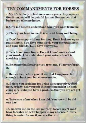10 Commandments for Horses!!